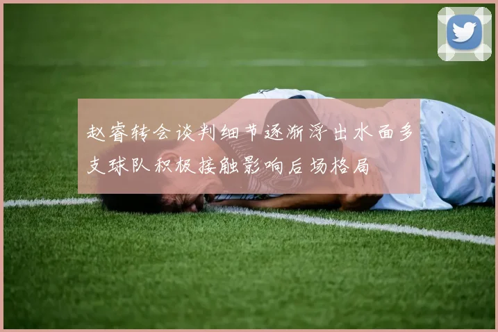 赵睿转会谈判细节逐渐浮出水面多支球队积极接触影响后场格局
