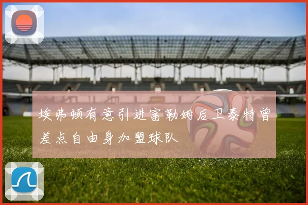 埃弗顿有意引进富勒姆后卫泰特曾差点自由身加盟球队